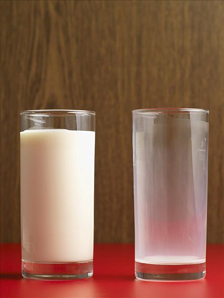 營養減肥法