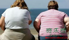 預測截至2025年全球27億胖子 如何預防肥胖