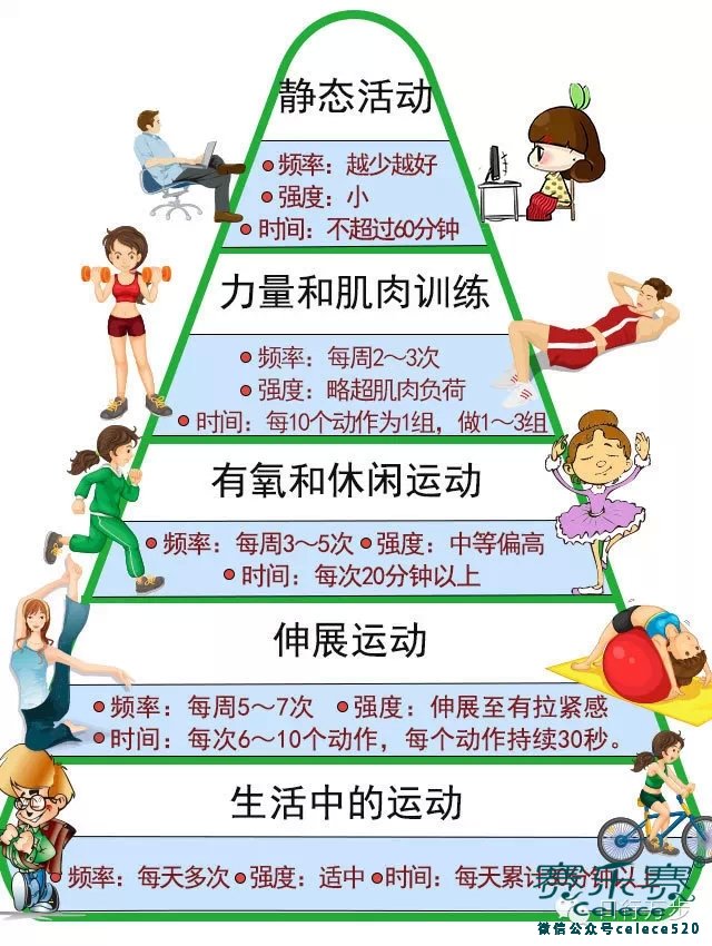健康運(yùn)動(dòng),運(yùn)動(dòng)減肥,瘦身